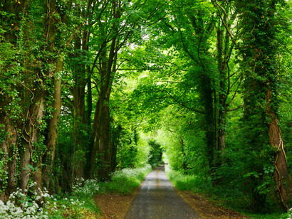 The richest nations must create more habitat in new reserves and parklands