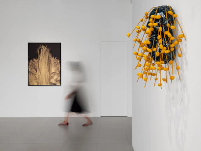 Mehdi-Georges Lahlou, The conference of the palm trees, exhibition view. Courtesy of Cuturi Gallery