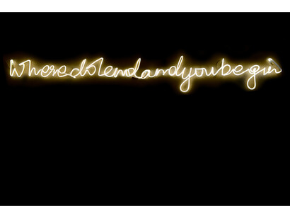 Shilpa Gupta, Where Do I End and You Begin, 2012, Neon
