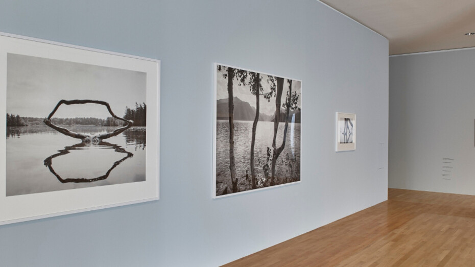 Ray 2018. Courtesy of Museum für Angewandte Kunst