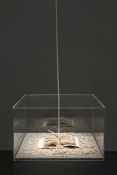 Che tu sia per me il coltello, 2014. Libro intagliato (David Grossman, Che tu sia per me il coltello, ed. Mondadori), ritagli arrotolati e infilati, colla, filo, dimensioni variabili (libro aperto 19,5x26 cm; lunghezza filo 1.500 cm circa). Ph. Dania Gennai.  Courtesy Passaggi Arte Contemporanea, Pisa