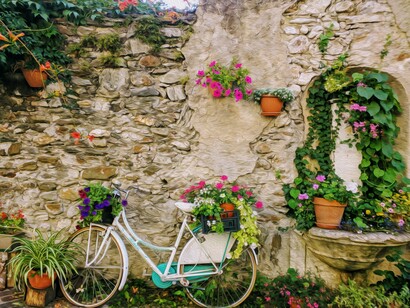 Italian has been considered the language of music, arts, sport, design and cuisine for centuries