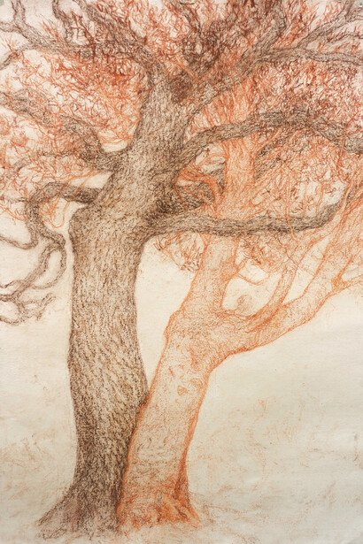 Daniel Chatto, Symbiosis