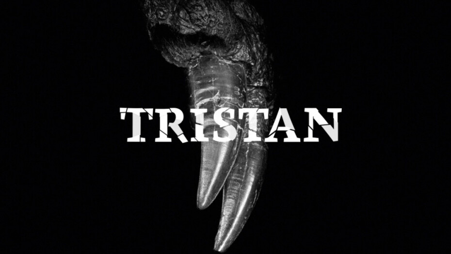 Tristan. Berlin bares teeth. Courtesy of Museum für Naturkunde