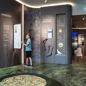 Permanent exhibition, exhibition view. Courtesy of Estonian Natural History Museum