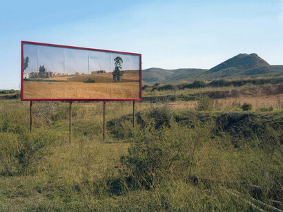 Corinne Silva, Imported Landscapes (2010)