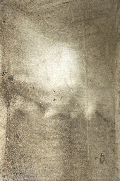 Edgar Massul  *das tuas margens, algumas plantas espremidas, 2014 (séries)