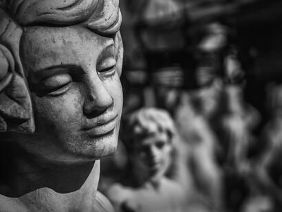 ¿Cuál es el camino de la felicidad?