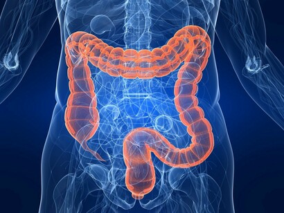Il Grosso Intestino (Fu Da Chang)