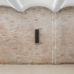 Graham Collins, Dog Walker's Manifesto, installation view. Courtesy of Sean Horton Presents