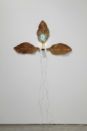 Pier Paolo Calzolari, Untitled (Occhio di Dio), 1971
Tobacco, neon, transformer and candle, 81 x 45 1/4 x 3.15 inches  206 x 115 x 8 cm