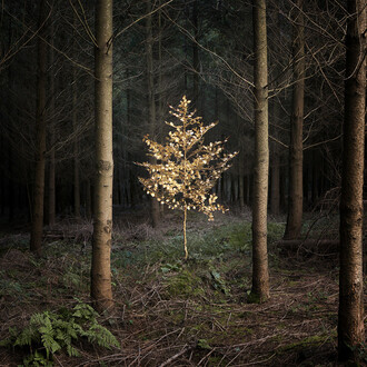 Ellie Davies (b. 1976) ‘Smoke and Mirrors 5’, 2010