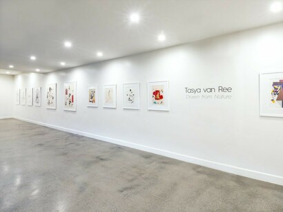 Tasya van Ree, Exhibition view. courtesy of Eric Buterbaugh Gallery