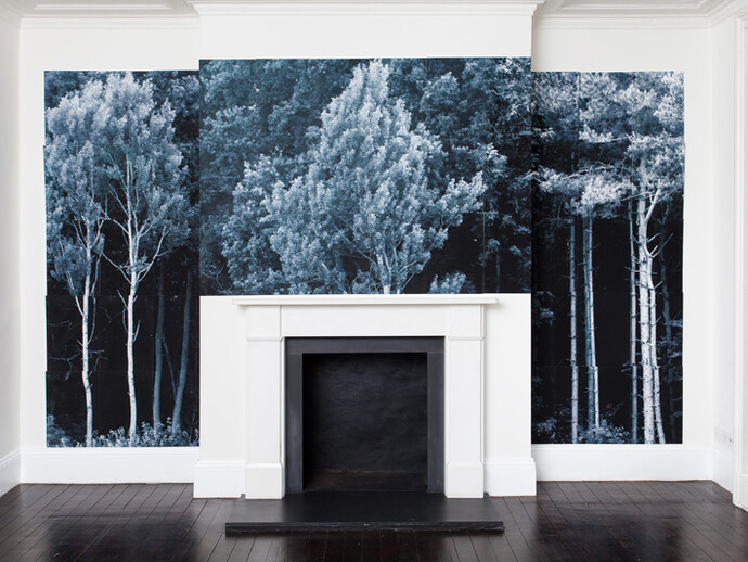 Roderick Coyne, Wood, Mametz Wood, the Somme and Hawkin's Wood, Essex, photographic print, 183 x 366 cm, 2015
