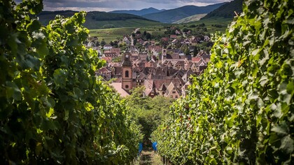View of Riquewihr from the Schoenenbourg, France