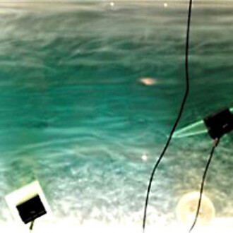 Water and How It Moves. Courtesy of Montshire Museum of Science