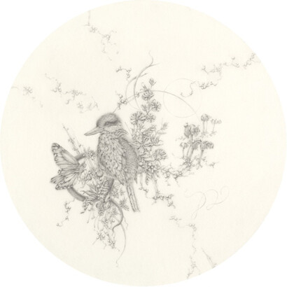 Eva Nolan, Red-backed Kingfisher and Velvet Hibiscus, 2023, graphite pencil on paper, acrylic frame, 20x20 cm. Courtesy the artist and Olsen Gallery, Sydney
