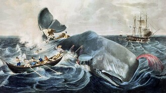 Moby Dick, il capolavoro di Herman Melville, è un libro profondamente permeato dall’Antico Testamento