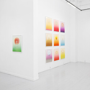 Thierry Feuz, Synthetic Eden, exhibition view. Courtesy of Galleri Christoffer Egelund 