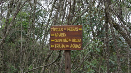 A viagem estava marcada para acontecer dali a duas semanas e, acredite ou não, ela conseguiu estruturar todo o roteiro, passando pela Ladeira do Amendoim, Pedra da Bruxa, Parque Municipal Antônio Rosa, Cachoeira da Lua, Trilha do Vale da Borboleta, dentre muitos outros. Junto com sua mãe e seu pai, iam também seus irmãos, Lucas e Rafael, gêmeos de 9 anos, e seus tios, Umberto e Tânia, com seus filhos, André, de 8 anos, Joana, de 14 anos, e Frederico, de 18 anos. Ela ficou tão feliz com essa notícia!