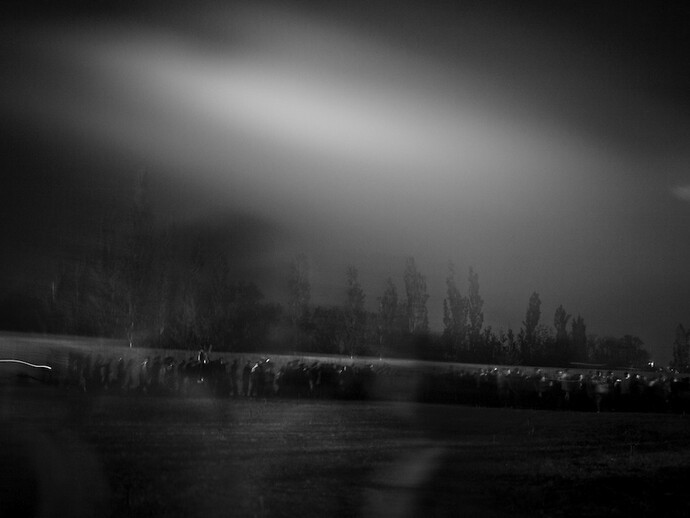 Kathryn Cook, Visitors walk in a procession in commemoration of the Armenian Genocide on the path toward the Genocide monument in Yerevan, Armenia on the eve of the Genocide anniversary - April 24th.
