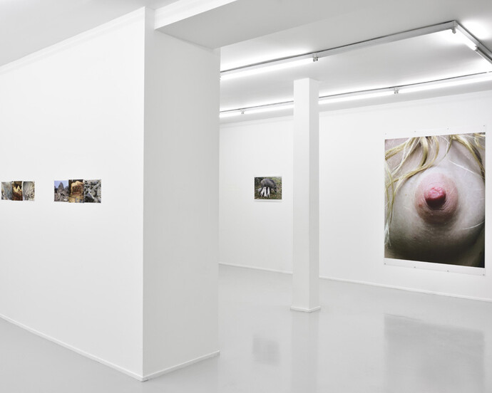 Leg, snails and peaches. Courtesy of Suzanne Tarasieve