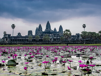 Ninfee nel lago del tempio di Preah Khan