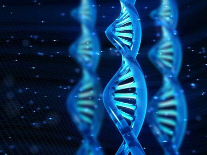 Cadena de ADN
