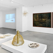 Edo Costantini, Delfina Braun y Delfina Muniz Barreto, Solsticio de invierno: semillas de la nada, vista de exhibición. Cortesía de Praxis