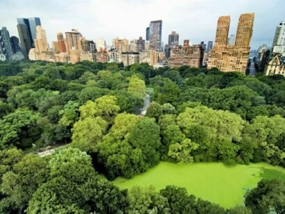 Central Park. New York