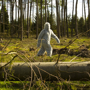 Mark Peter Wright, I, the Thing in the Margins, 2015