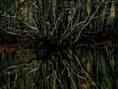 A salvação, no contexto gnóstico, não é simplesmente uma questão de fé, mas de autoconhecimento e reconhecimento da verdadeira natureza do cosmos. A libertação dos arcontes ocorre quando o indivíduo desperta para a realidade superior além do mundo físico e das ilusões impostas pelos governantes cósmicos