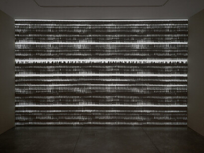 Michal Rovner. Courtesy of Pace Gallery