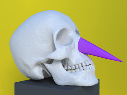 Gino De Dominicis, Skull with long nose