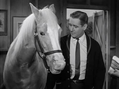 El actor Alan Young con «Mr. Ed», un caballo muy inteligente