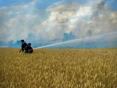 Incendio en un campo de trigo cerca del asentamiento Monastyrske (región de Kherson en Ucrania) después del bombardeo ruso el 7 de junio de 2024.