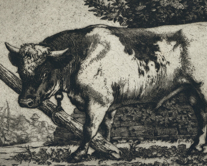 Second Nature. Courtesy of Royal Academy of Arts