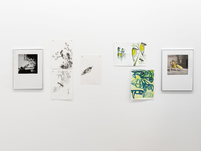 Various artists, Hay un pájaro azul en mi corazón (There’s a bluebird in my heart), exhibition view. Courtesy of Gallery Hache. Photo by Ignacio Iasparra