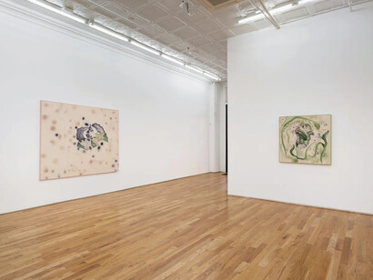 Claire Oswalt, Primo piano, exhibition view. Courtesy of Broadway Gallery