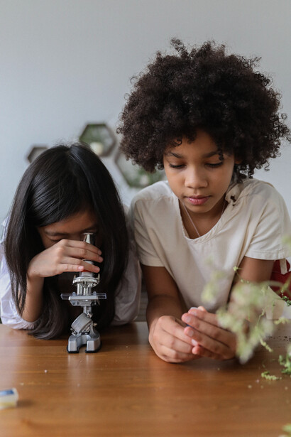 Alunos analisam uma pétala de flor em microscópio doméstico