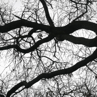 Mariano Zuzunaga, Barcelona (detalle), 2020. Cortesía de La Galería 