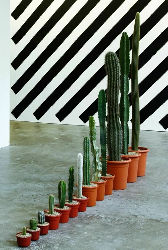 Martin Creed, Work No. 960, 2008, © the artist, Installation view, courtesy Ikon Gallery, Birmingham, photo: Stuart Whipps