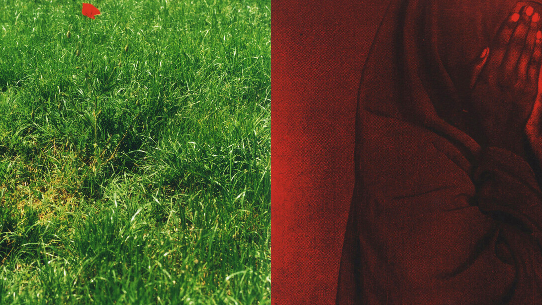 WWWSOY_011, (detail)
