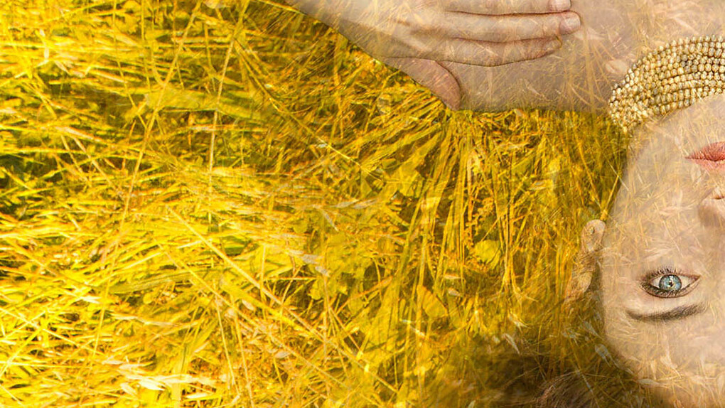 Francesca Manetta, Giardini Allegorici, Cap.III: Sol Stat, dettaglio dell'installazione, 2017, stampa fine art giclée su carta Hanhemuhle