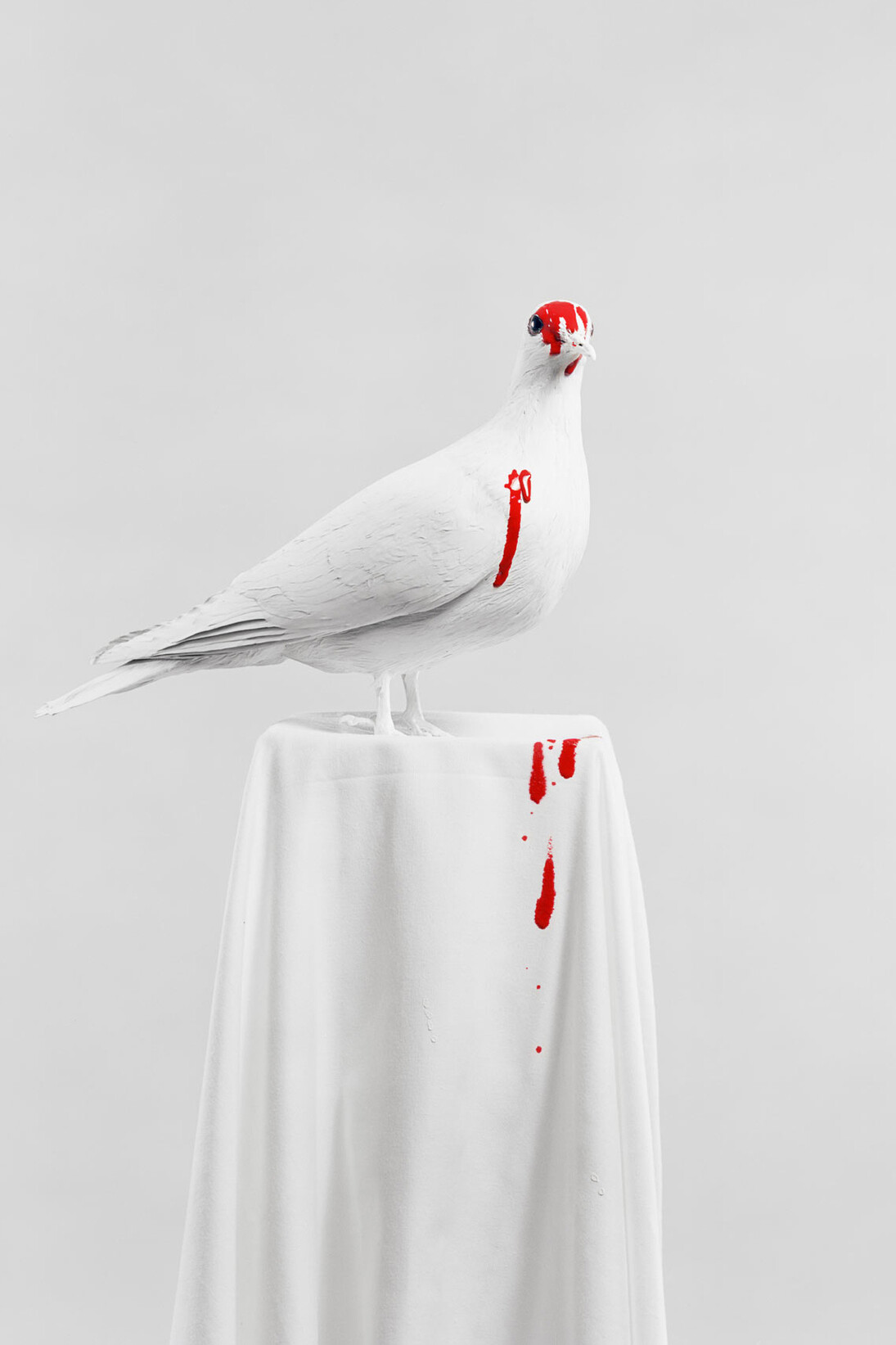 Julia Krahn, Die Taube, 2011 © Julia Krahn 