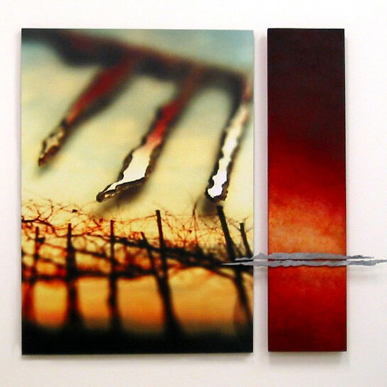 Pietro Iori, Red blood line, 2002