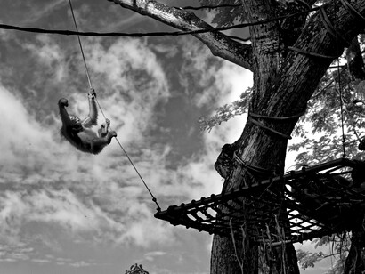 Moral judgement manifests itself through common social behaviour