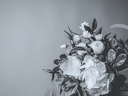 Flor descolorida