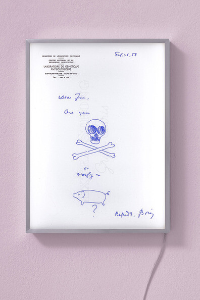 Aleksandra Domanovic, Eine Nachricht von 
Boris Ephrussi , an James Watson, 2016, Leuchtkasten, Edition 5 + 2 AP. Courtesy die Künstlerin und  Tanya Leighton, Berlin © Foto: the artist Fotograf: Gunter Lepowski
