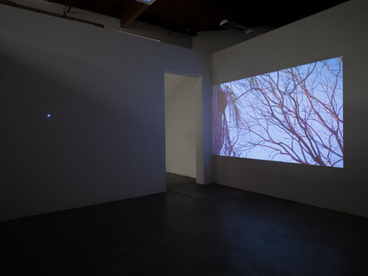 Julien Bismuth, Perchings, exhibition view. Courtesy of the artist and The Box. Photo by Fredrik Nilsen Studio